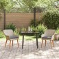 vidaXL Set da pranzo 3 pcs Grigio chiaro e nero 80 cm x 80 cm vidaXL Set da pranzo 3 pcs Grigio chiaro e nero 80 cm x 80 cm