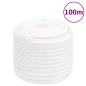 Corda Nautica Completamente Bianca 16 mm 100 m in Polipropilene Corda Nautica Completamente Bianca 16 mm 100 m in Polipropilene