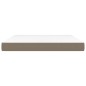vidaXL Materasso a Molle Insacchettate Grigio Tortora 160x200x20 cm vidaXL Materasso a Molle Insacchettate Grigio Tortora 160x200x20 cm