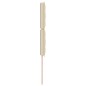 vidaXL Testiera design Lines vitaXL Crema 80 cm Tessuto vidaXL Testiera design Lines vitaXL Crema 80 cm Tessuto