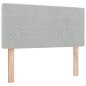 vidaXL Letto con Box Spring e Materasso Grigio Chiaro 120x200 cm Velluto vidaXL Letto con Box Spring e Materasso Grigio Chiaro 120x200 cm Velluto