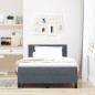 vidaXL Letto a Molle con Materasso Grigio Scuro 120x200 cm Velluto vidaXL Letto a Molle con Materasso Grigio Scuro 120x200 cm Velluto