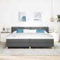 vidaXL Letto a molle con materasso - Grigio scuro 200 x 200 cm - Tessuto vidaXL Letto a molle con materasso - Grigio scuro 200 x 200 cm - Tessuto