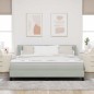 vidaXL Letto con Box Spring e Materasso Grigio Chiaro 180x200 cm in Velluto