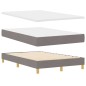 vidaXL Letto Box Spring con Materasso & LED Tortora 120x200 cm Tessuto vidaXL Letto Box Spring con Materasso & LED Tortora 120x200 cm Tessuto