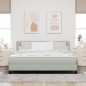Letto Box Spring con Materasso e Luce LED Grigio Chiaro 180x200 cm Velluto Letto Box Spring con Materasso e Luce LED Grigio Chiaro 180x200 cm Velluto