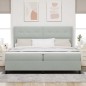 vidaXL Letto Box Spring con Materasso e Luce LED Grigio Chiaro 200x200 cm Velluto vidaXL Letto Box Spring con Materasso e Luce LED Grigio Chiaro 200x200 cm Velluto