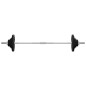 vidaXL Set Bilanciere con Dischi 90 kg in Ghisa
