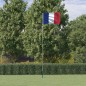 Asta e Bandiera Francia 5,55 m Alluminio Asta e Bandiera Francia 5,55 m Alluminio