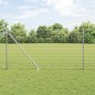 vidaXL Recinzione Euro di con 7 pali a punta, 1 x 10 m, in acciaio zincato