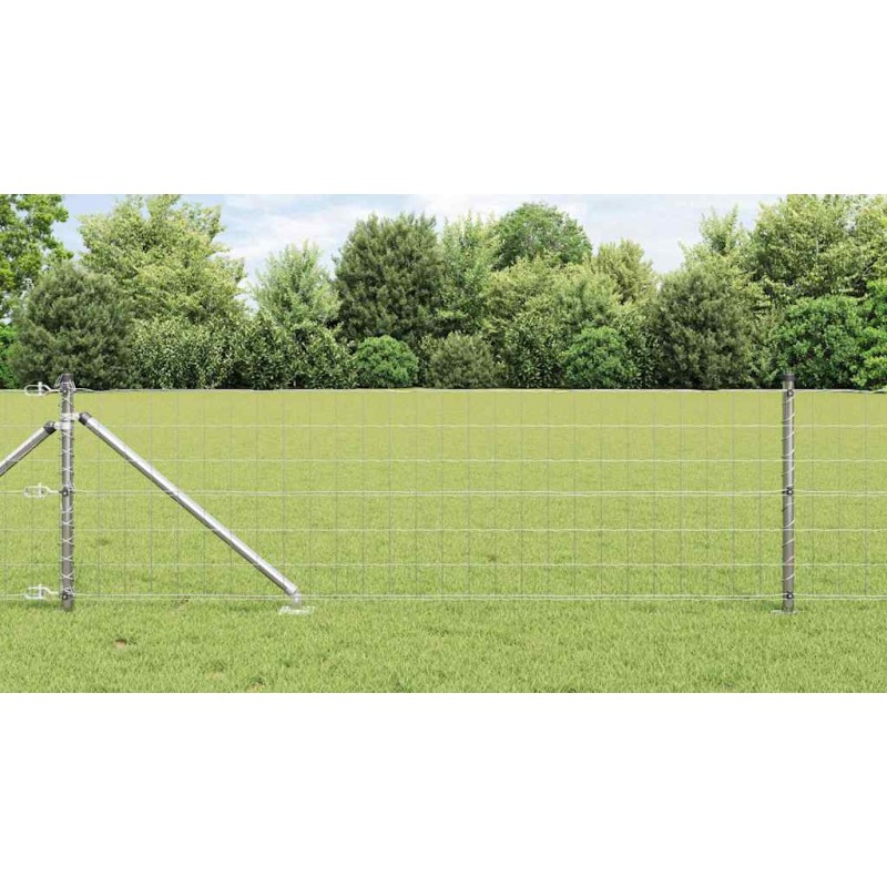 vidaXL Euro Fence con 13 pali a punta da 0,6 x 25 m in acciaio galvanizzato