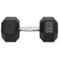 Manubri 2 pz 20 kg Ghisa Manubri 2 pz 20 kg Ghisa