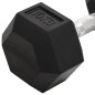 Manubri 2 pz 20 kg Ghisa Manubri 2 pz 20 kg Ghisa