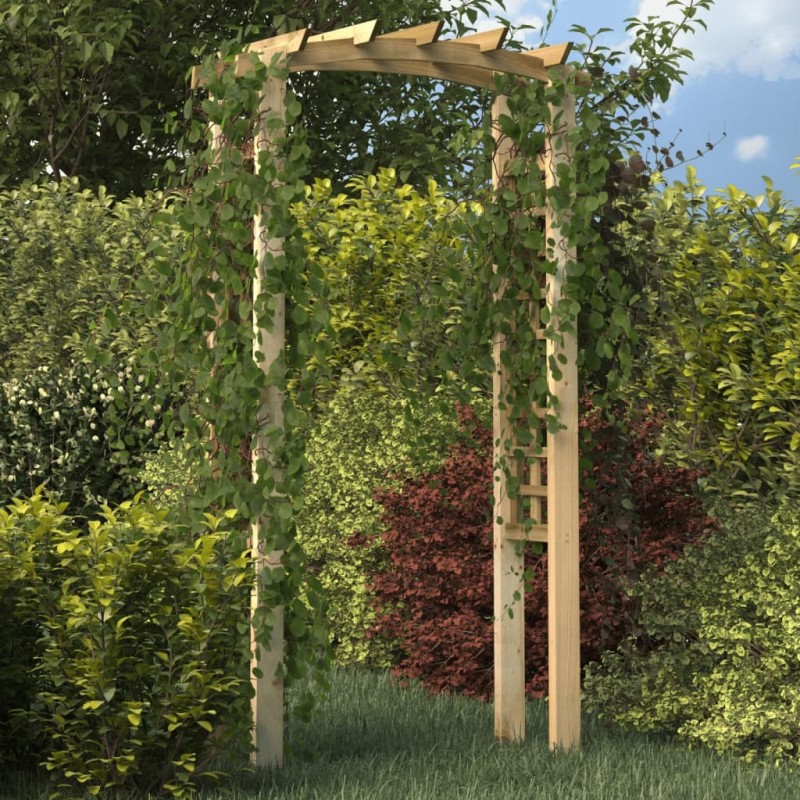 Arco a Traliccio 110x60x210 cm in Pino Massello Impregnato Arco a Traliccio 110x60x210 cm in Pino Massello Impregnato