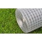 Recinzione in Rete per Pollaio Acciaio Zincato 10x1 m Argento Recinzione in Rete per Pollaio Acciaio Zincato 10x1 m Argento