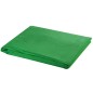 vidaXL Sistema Portafondali con Fondale Verde 500 x 300 cm vidaXL Sistema Portafondali con Fondale Verde 500 x 300 cm