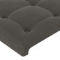 vidaXL Testiere 2 pz Grigio Scuro 100x5x78/88 cm in Velluto