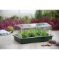Nature Propagatore 55x31x21 cm Nature Propagatore 55x31x21 cm