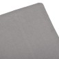 Lettino Prendisole con Cuscino in Plastica Antracite Lettino Prendisole con Cuscino in Plastica Antracite