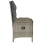 Panca Reclinabile da Giardino Cuscini 107 cm Polyrattan Grigia Panca Reclinabile da Giardino Cuscini 107 cm Polyrattan Grigia