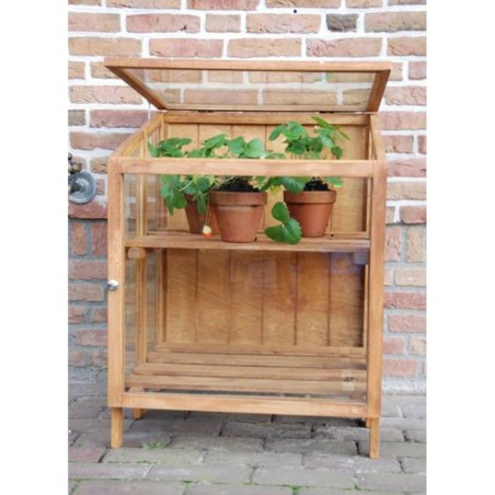 Esschert Design Serra in Legno Massello Piccola GT32