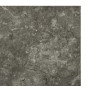 Listoni per Pavimenti Autoadesivi 55 pz in PVC 5,11 m² Grigi Listoni per Pavimenti Autoadesivi 55 pz in PVC 5,11 m² Grigi