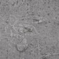 Listoni Pavimenti Non Autoadesivi 4,46m² 3mm Cemento Marrone Listoni Pavimenti Non Autoadesivi 4,46m² 3mm Cemento Marrone