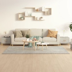 Tavolini Salotto 2pz Grigi Cemento 50x50x40cm Legno Multistrato