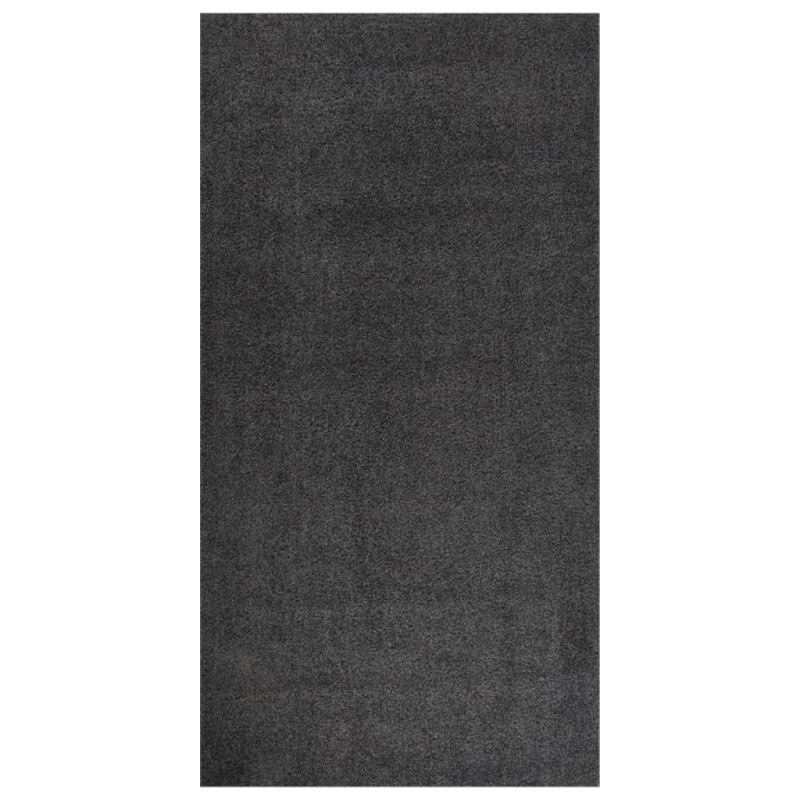Tappeto Shaggy a Pelo Alto Antracite 80x150 cm Tappeto Shaggy a Pelo Alto Antracite 80x150 cm