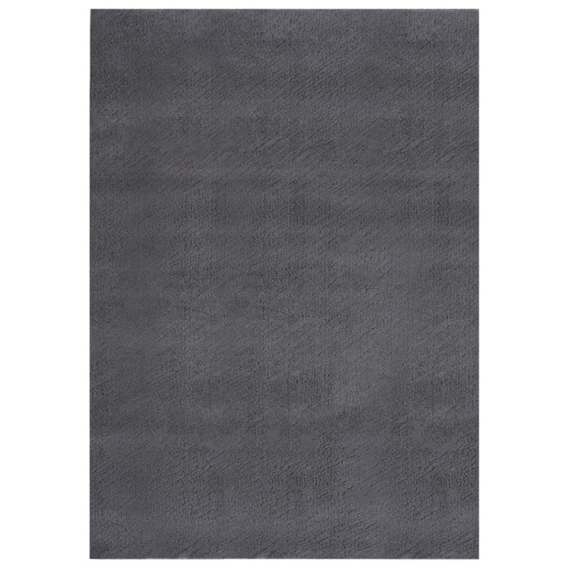 Tappeto Soffice Pelo Corto 120x170 cm Antiscivolo Antracite Tappeto Soffice Pelo Corto 120x170 cm Antiscivolo Antracite