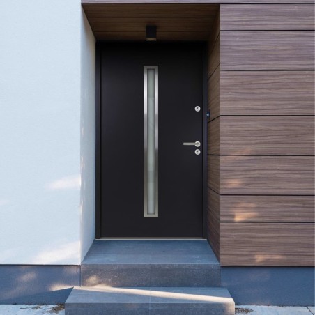 Porta Ingresso in Alluminio Antracite 90x200 cm