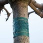 Nature Nastro Adesivo Anti-Parassiti 150 cm 6060134 Nature Nastro Adesivo Anti-Parassiti 150 cm 6060134