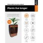 Capi Vaso a Sfera Nature Rib 62x48 cm Nero KBLR271 Capi Vaso a Sfera Nature Rib 62x48 cm Nero KBLR271