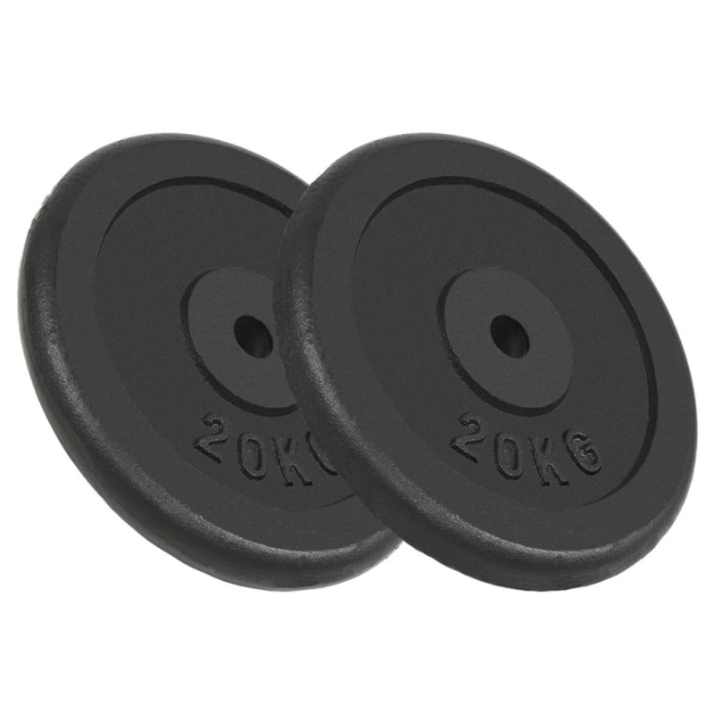 vidaXL Dischi per Pesi 2 pz 2x20 kg in Ghisa vidaXL Dischi per Pesi 2 pz 2x20 kg in Ghisa