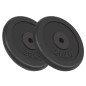 vidaXL Dischi per Pesi 2 pz 2x20 kg in Ghisa vidaXL Dischi per Pesi 2 pz 2x20 kg in Ghisa