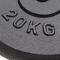 vidaXL Dischi per Pesi 2 pz 2x20 kg in Ghisa vidaXL Dischi per Pesi 2 pz 2x20 kg in Ghisa
