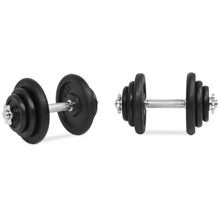 vidaXL Set di Manubri 18 pz 40 kg in Ghisa