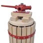vidaXL Torchio per Frutta e Vino 6 L vidaXL Torchio per Frutta e Vino 6 L