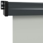 Tenda Laterale per Balcone 170x250 cm Grigia Tenda Laterale per Balcone 170x250 cm Grigia