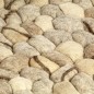 vidaXL Tappeto in Lana Ghiaia 160x230cm Beige/Grigio/Marrone/Cioccolato vidaXL Tappeto in Lana Ghiaia 160x230cm Beige/Grigio/Marrone/Cioccolato