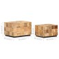 vidaXL Tavolini da Caffè a Parallelepipedo 2 pz Legno di Mango Grezzo vidaXL Tavolini da Caffè a Parallelepipedo 2 pz Legno di Mango Grezzo