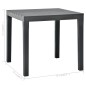 vidaXL Tavolo da Giardino con 2 Panche in Plastica Antracite vidaXL Tavolo da Giardino con 2 Panche in Plastica Antracite