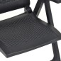 vidaXL Sedie da Giardino Reclinabili 2 pz in Plastica Antracite vidaXL Sedie da Giardino Reclinabili 2 pz in Plastica Antracite