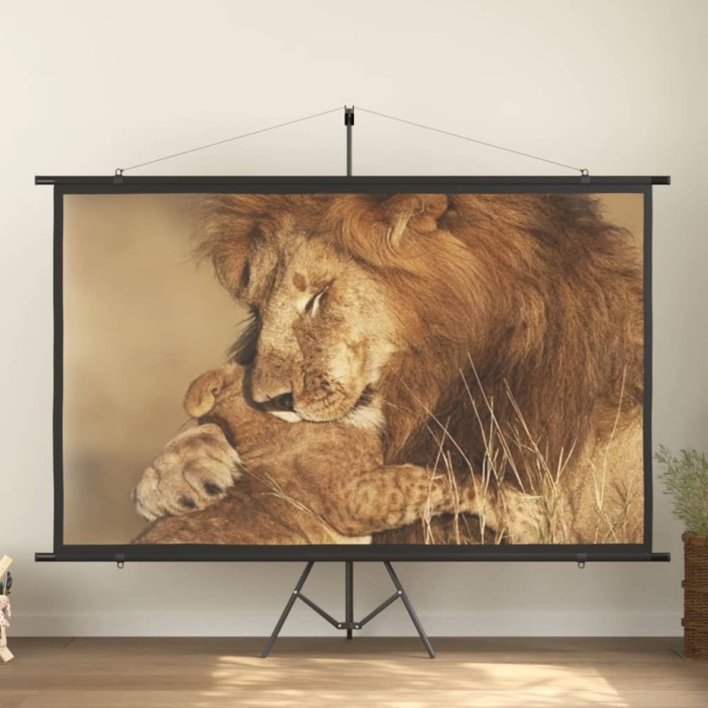 vidaXL Schermo di Proiezione 108" 16:9 vidaXL Schermo di Proiezione 108" 16:9