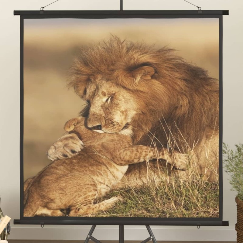 vidaXL Schermo di Proiezione 50" 1:1 vidaXL Schermo di Proiezione 50" 1:1