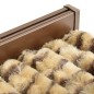 vidaXL Zanzariera Beige e Marrone 90x220 cm Ciniglia