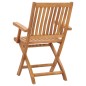 vidaXL Sedie da Giardino Pieghevoli 2 pz in Legno Massello di Teak