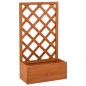 vidaXL Fioriera con Traliccio Arancione 50x25x90 cm Massello di Abete vidaXL Fioriera con Traliccio Arancione 50x25x90 cm Massello di Abete