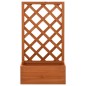 vidaXL Fioriera con Traliccio Arancione 50x25x90 cm Massello di Abete vidaXL Fioriera con Traliccio Arancione 50x25x90 cm Massello di Abete