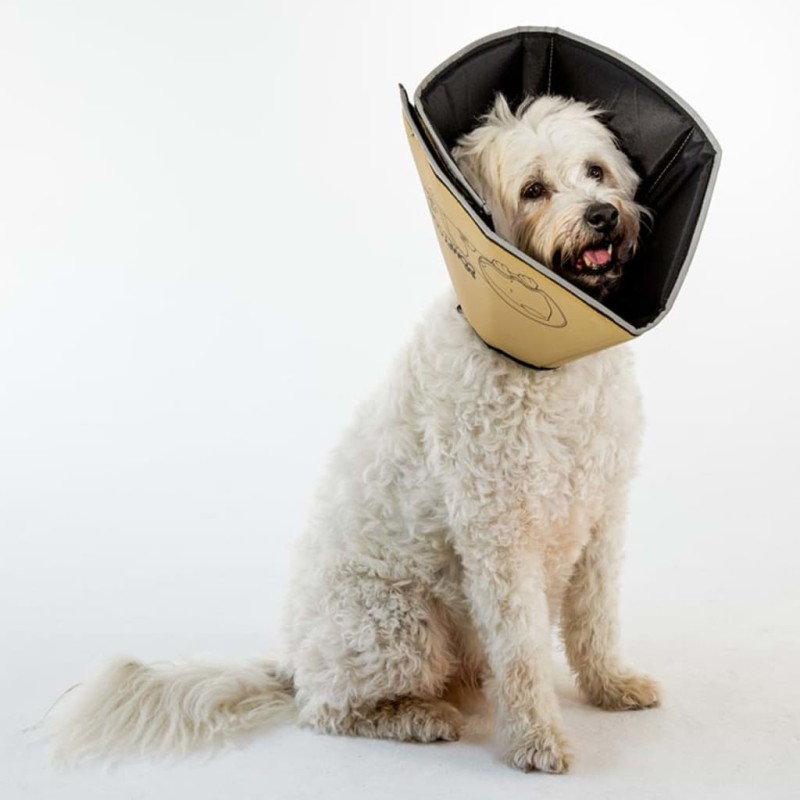 All Four Paws Collare Medico per Cani Comfy Cone Taglia XS 11 cm Tanno All Four Paws Collare Medico per Cani Comfy Cone Taglia XS 11 cm Tanno